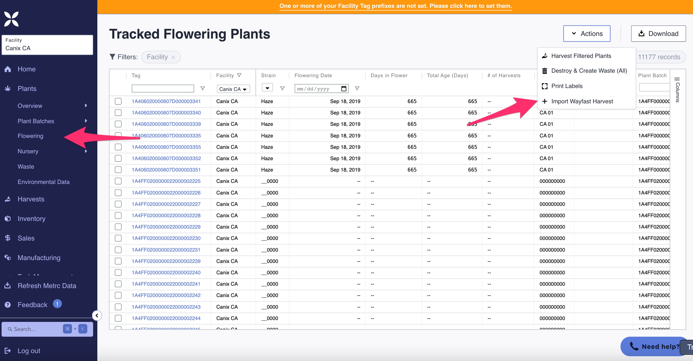 Tracked_Flowering_WayFast.jpg