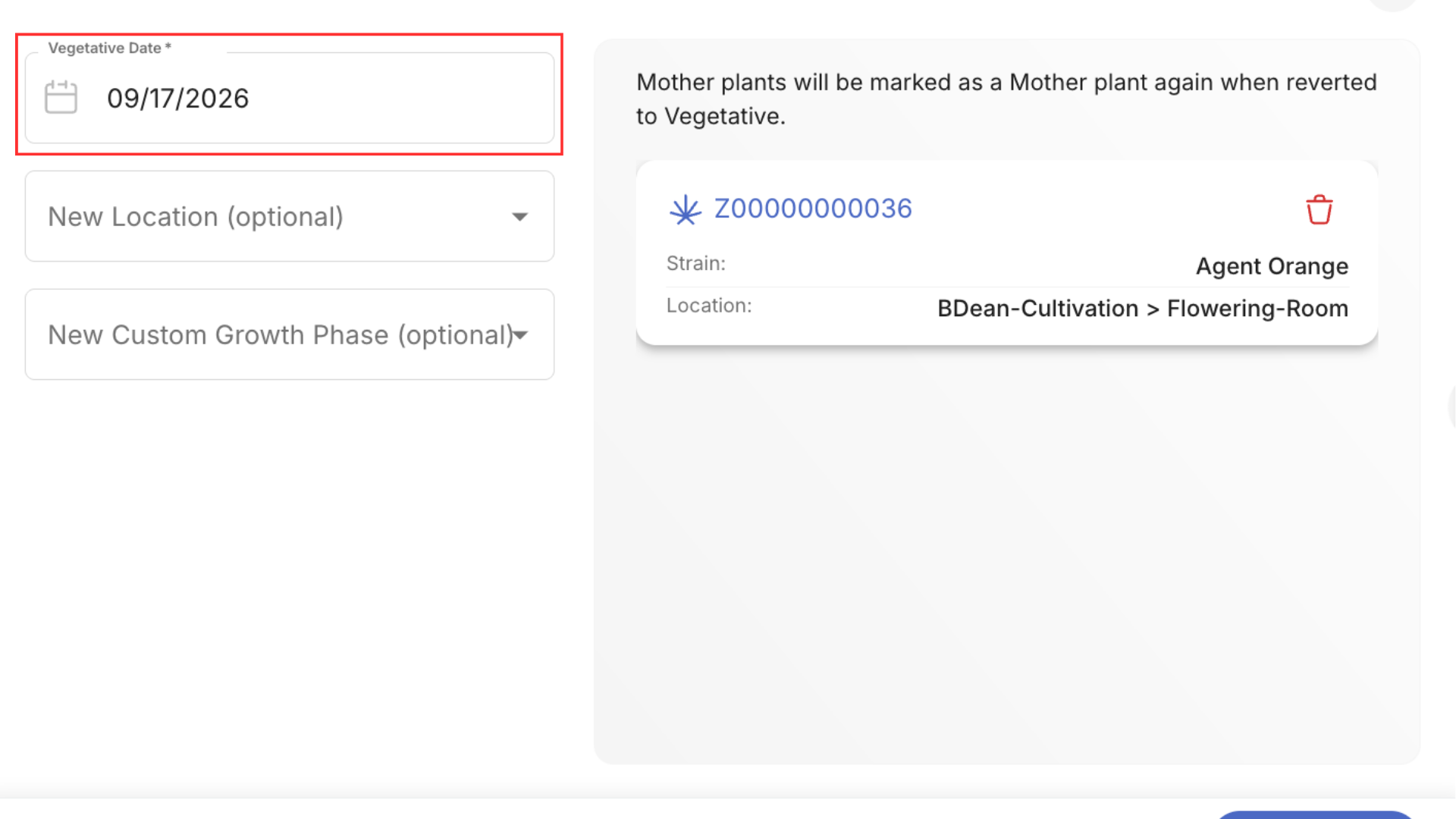 Untitled design (21).png